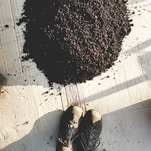 jak oddzielić dżdżownice od kompostu